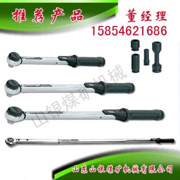 點(diǎn)擊查看詳細(xì)信息<br>標(biāo)題：顯示扭力扳手 閱讀次數(shù)：1544