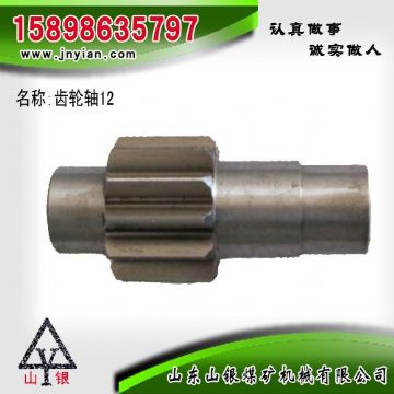 點擊查看詳細信息<br>標題：齒輪軸12 江陰系列配件 閱讀次數(shù)：1936