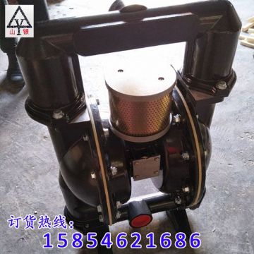 點(diǎn)擊查看詳細(xì)信息<br>標(biāo)題：氣動(dòng)隔膜泵 閱讀次數(shù)：1572
