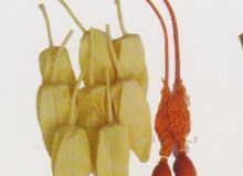 點(diǎn)擊查看詳細(xì)信息<br>標(biāo)題：取氣樣球膽 閱讀次數(shù)：43